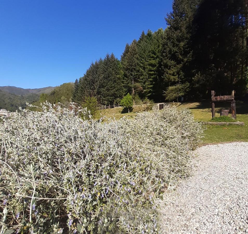 Il Bosco Di Campo Marzano Green & Sky Borzonasca Exterior photo